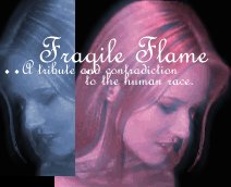 Fragile Flame... a tribute and contradiction to the human race.